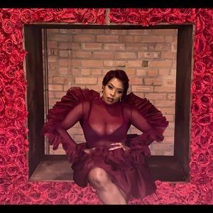 Fordam Rowe Mesh Tulle Dress